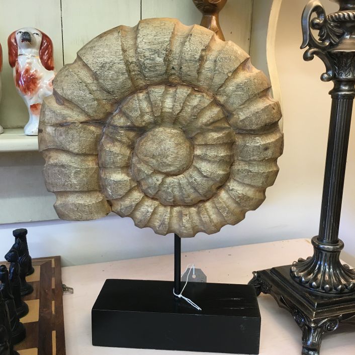 Carved wooden Ammonite on Stand