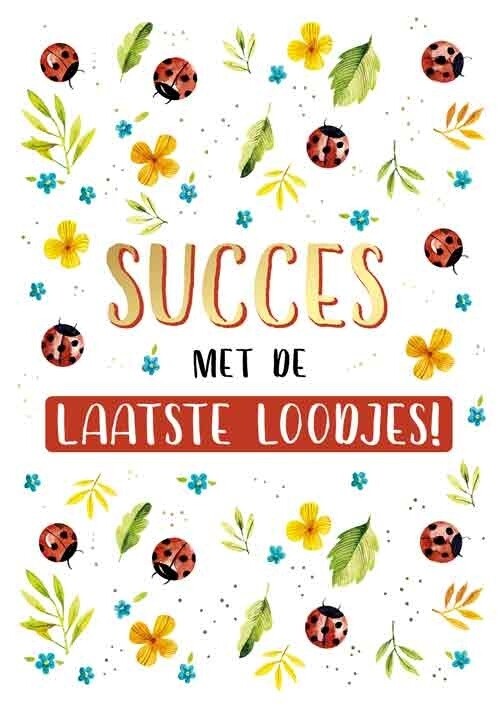 Succes met de laatste loodjes!
