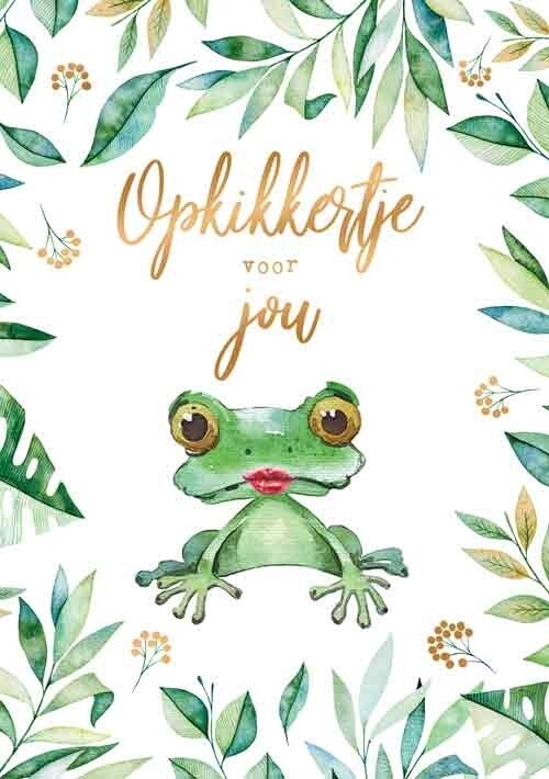 Opkikkertje voor jou