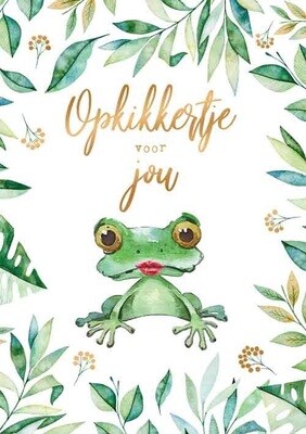 Opkikkertje voor jou