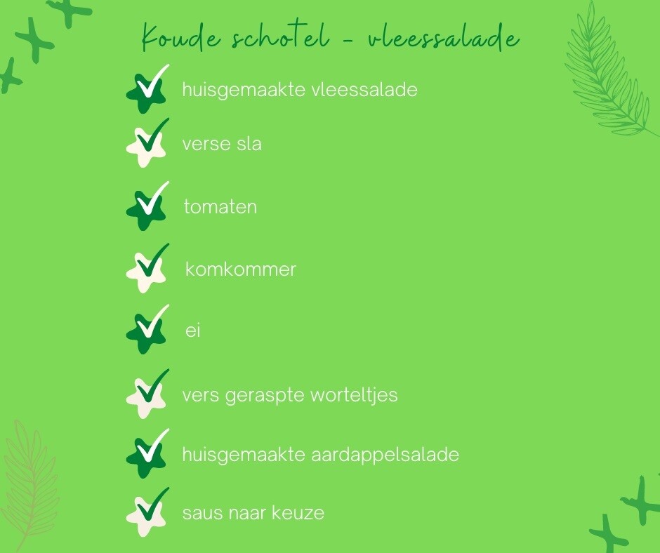 Koude schotel met vleessalade