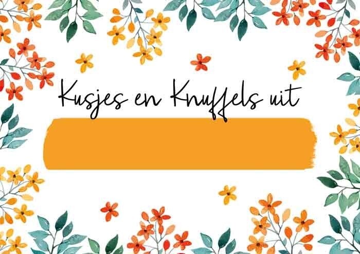 Kusjes en Knuffels uit Schoten