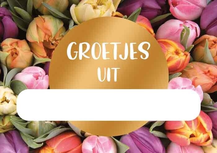 Groetjes uit Schoten