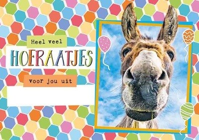 Veel hoeraatjes voor jou uit Schoten