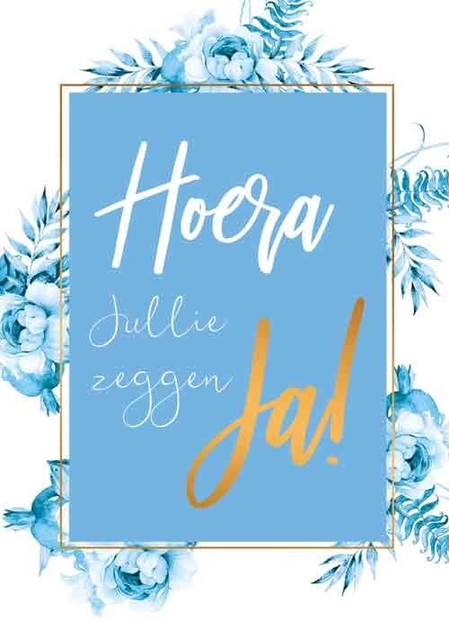 Hoera jullie zeggen ja!