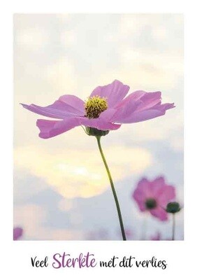 Veel sterkte met dit verlies