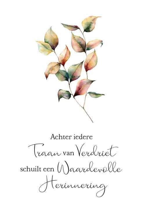 Achter iedere traan van verdriet