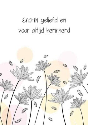 Enorm geliefd en voor altijd herinnerd