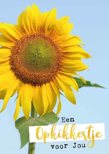 Een opkikkertje voor jou