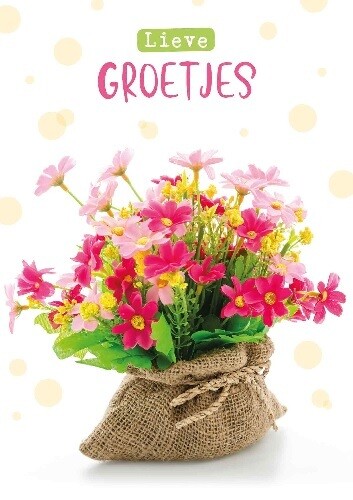 Lieve groetjes