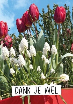 Dank je wel