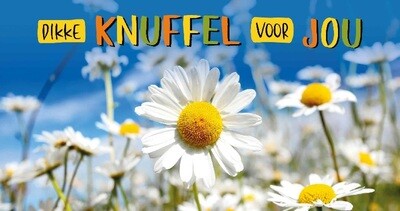 Dikke Knuffel voor Jou