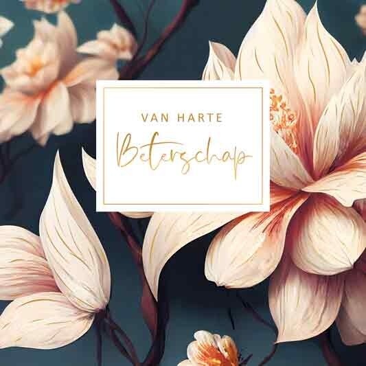 Van harte beterschap