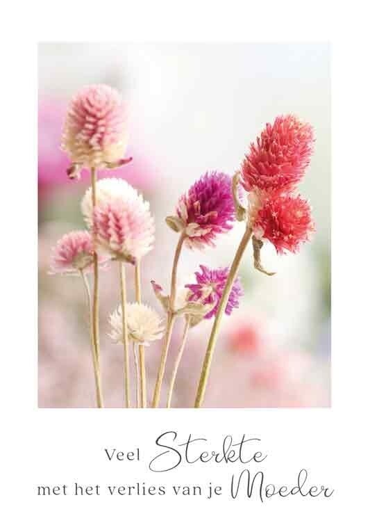 Veel sterkte met het verlies van je moeder