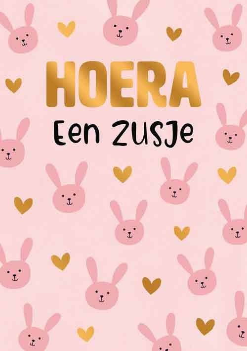 Hoera een zusje