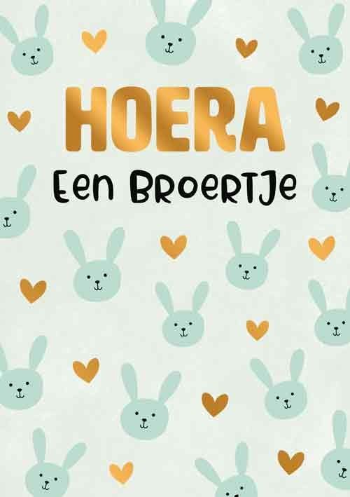 Hoera een broertje