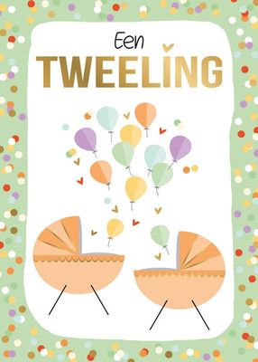 Een tweeling