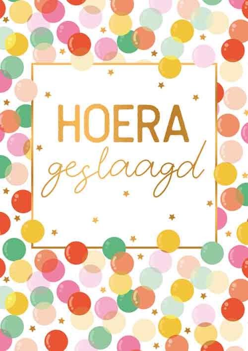 Hoera geslaagd