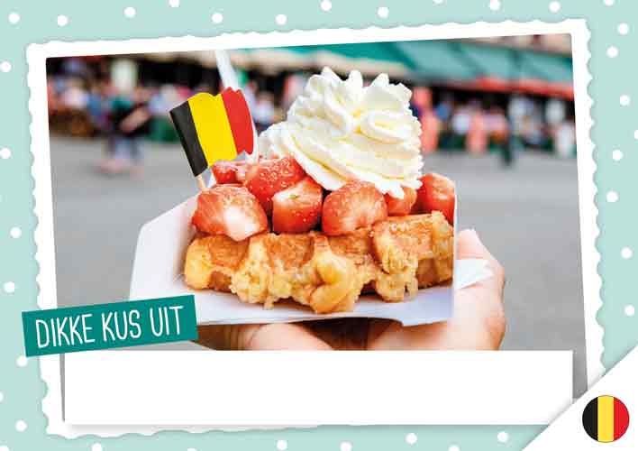 Dikke kus uit Schoten