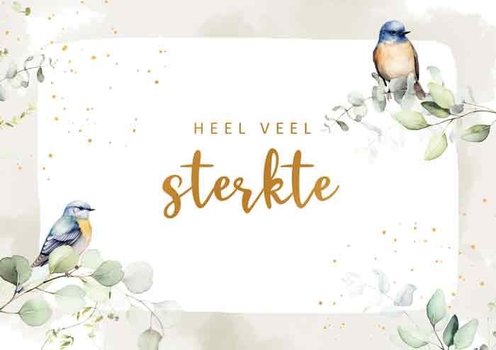 Heel veel sterkte