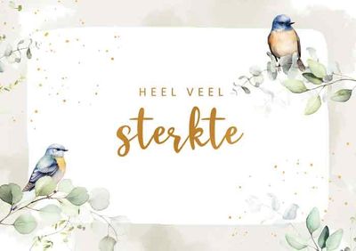 Heel veel sterkte