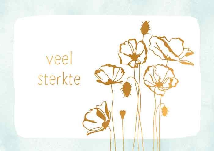 Veel sterkte