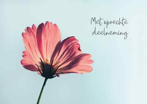 Met oprechte deelneming