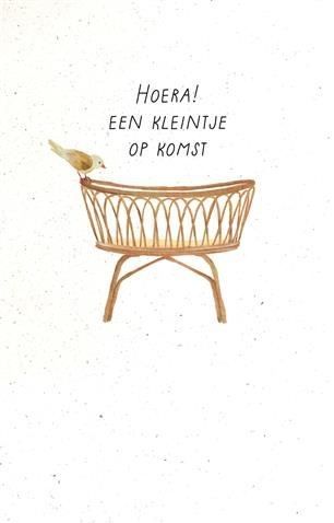 Hoera! Een kleintje op komst