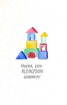 Hoera, een kleinzoon geboren!