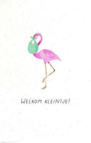 Welkom kleintje!