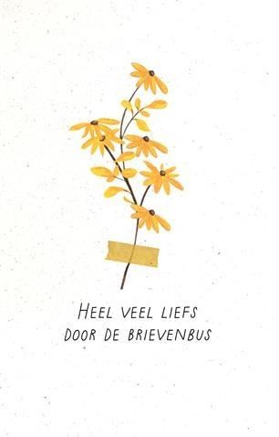 Heel veel liefs door de brievenbus