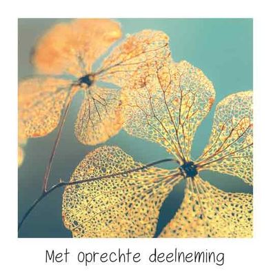 Met oprechte deelneming