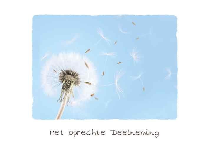 Met oprechte deelneming