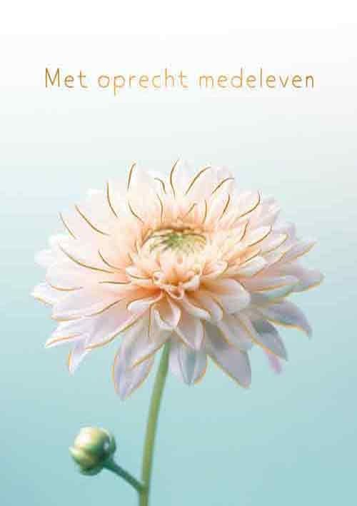 Met oprecht medeleven