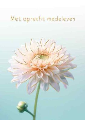 Met oprecht medeleven