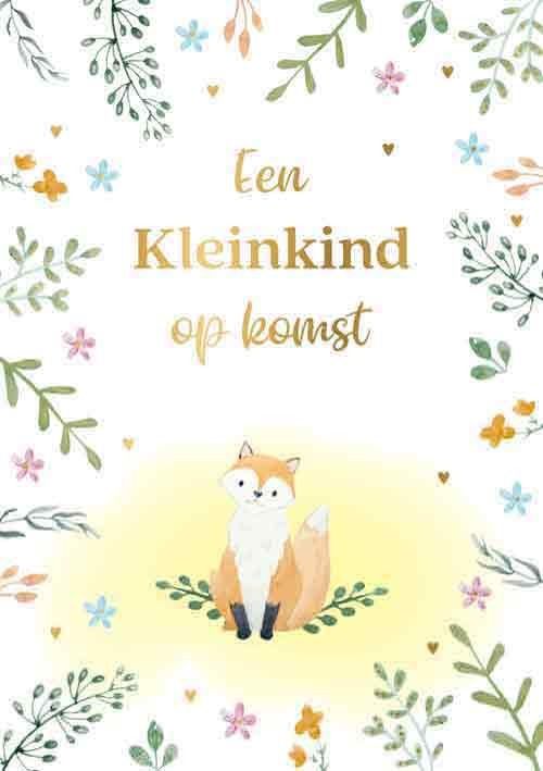 Een kleinkind op komst