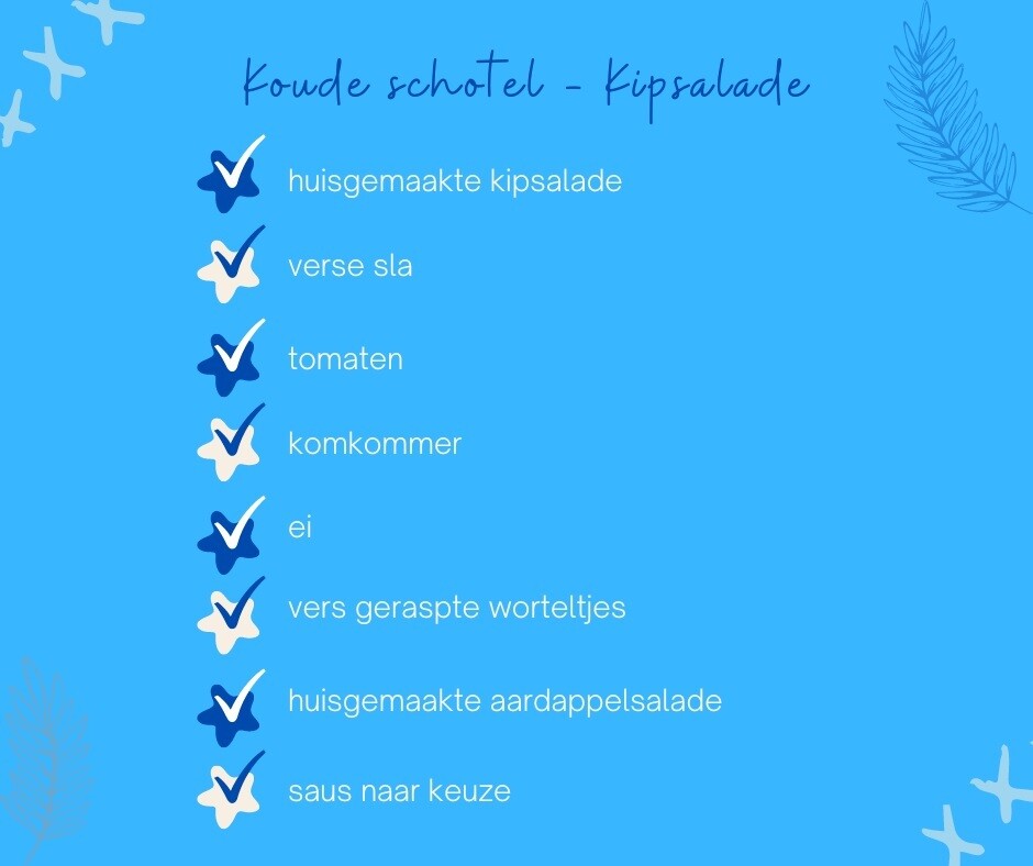 Koude schotel met kipsalade