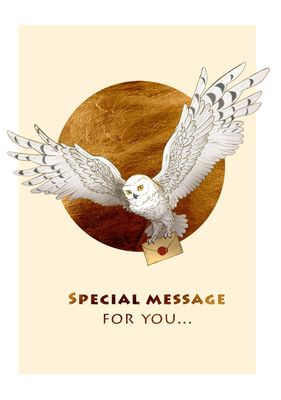 Wenskaart Harry Potter Special Message
