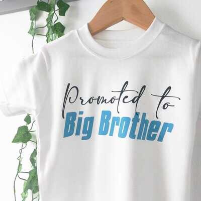 Promoted to Big Brother
