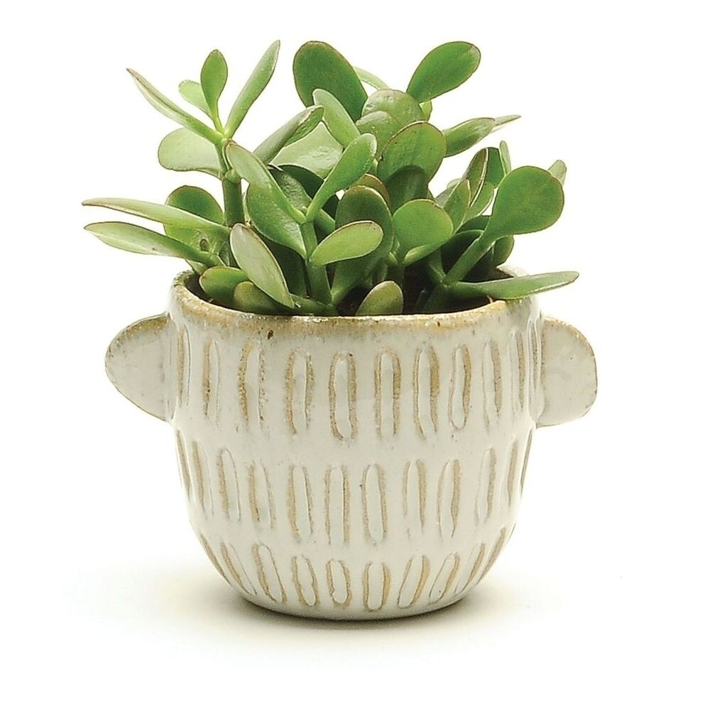 4" Medium natural textured pot with handles