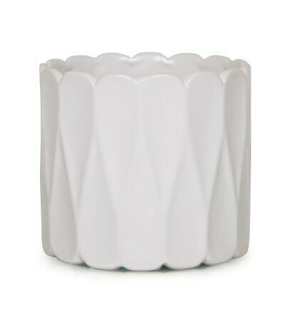 White Glazed 6"