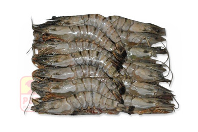 Gamba 13/15 1kg Gamba 13/15 1kg