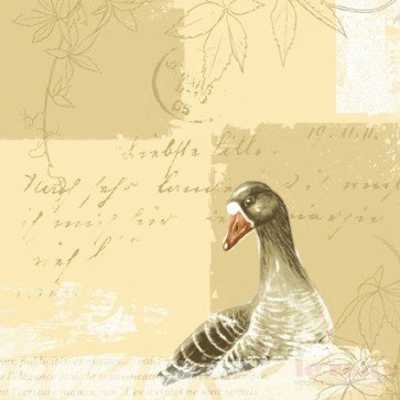 Dunilin servetten goose 40 x 40cm 50st Dunilin servetten goose 40 x 40cm 50st