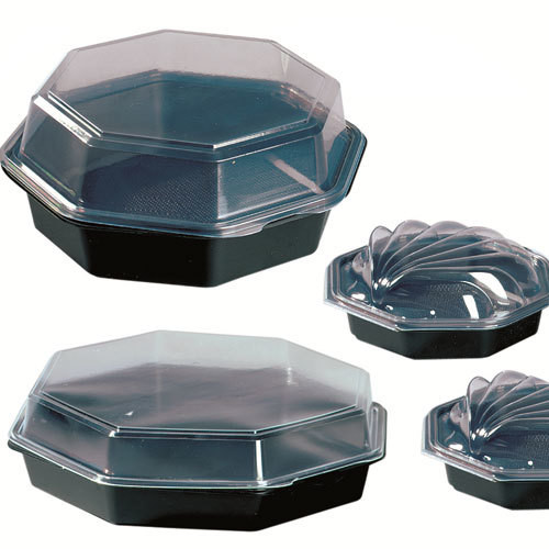 Octaview box 23 x 23 x 5 1 st Octaview box 23 x 23 x 5 1 st
