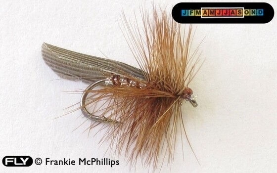Silver Sedge, Trout fishing fly