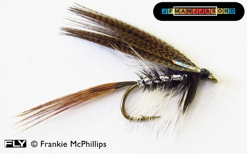 Boland Papillon Glitter Argento - Cravatta A Farfalla Elegante