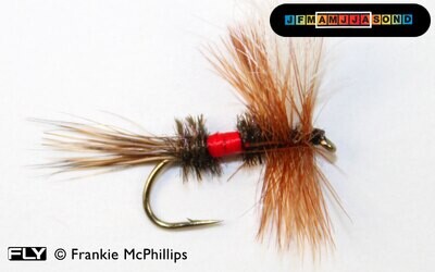 Royal Wulff Dry Mayfly, Trout fishing fly