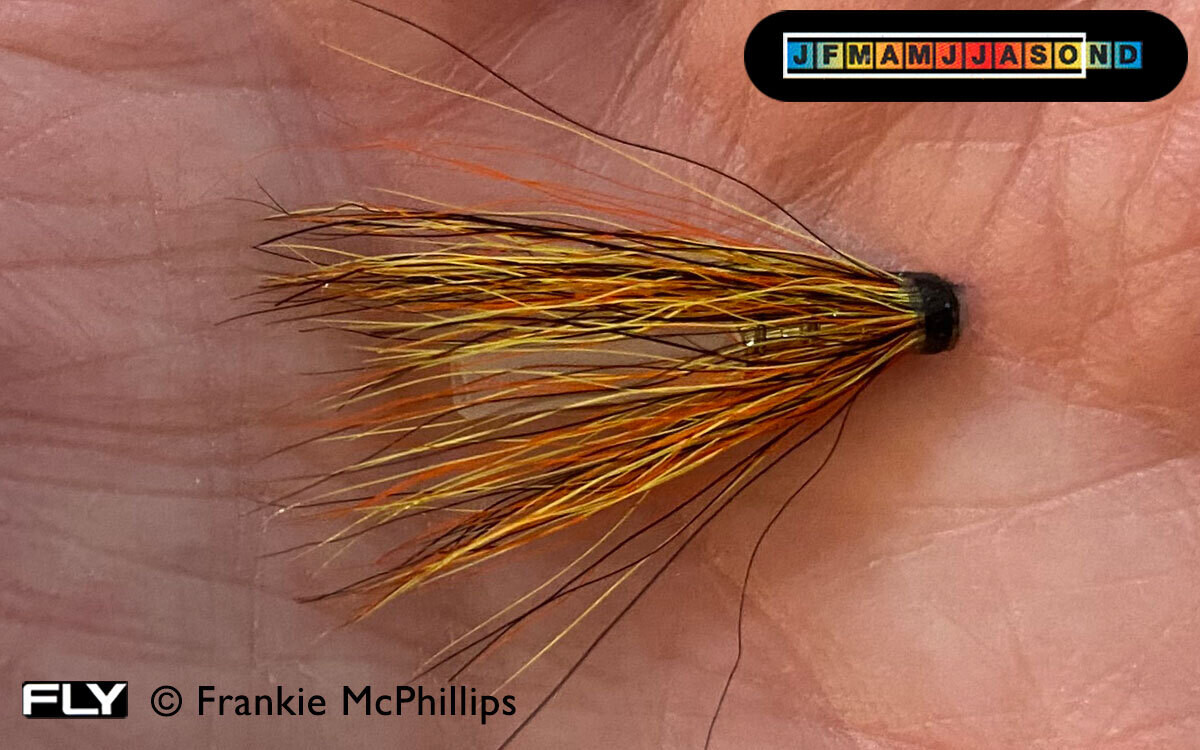 Mosche Per Salmone V Fly Signature Gold JC Willie Gunn: 3 Pezzi Per Tutte Le Taglie
