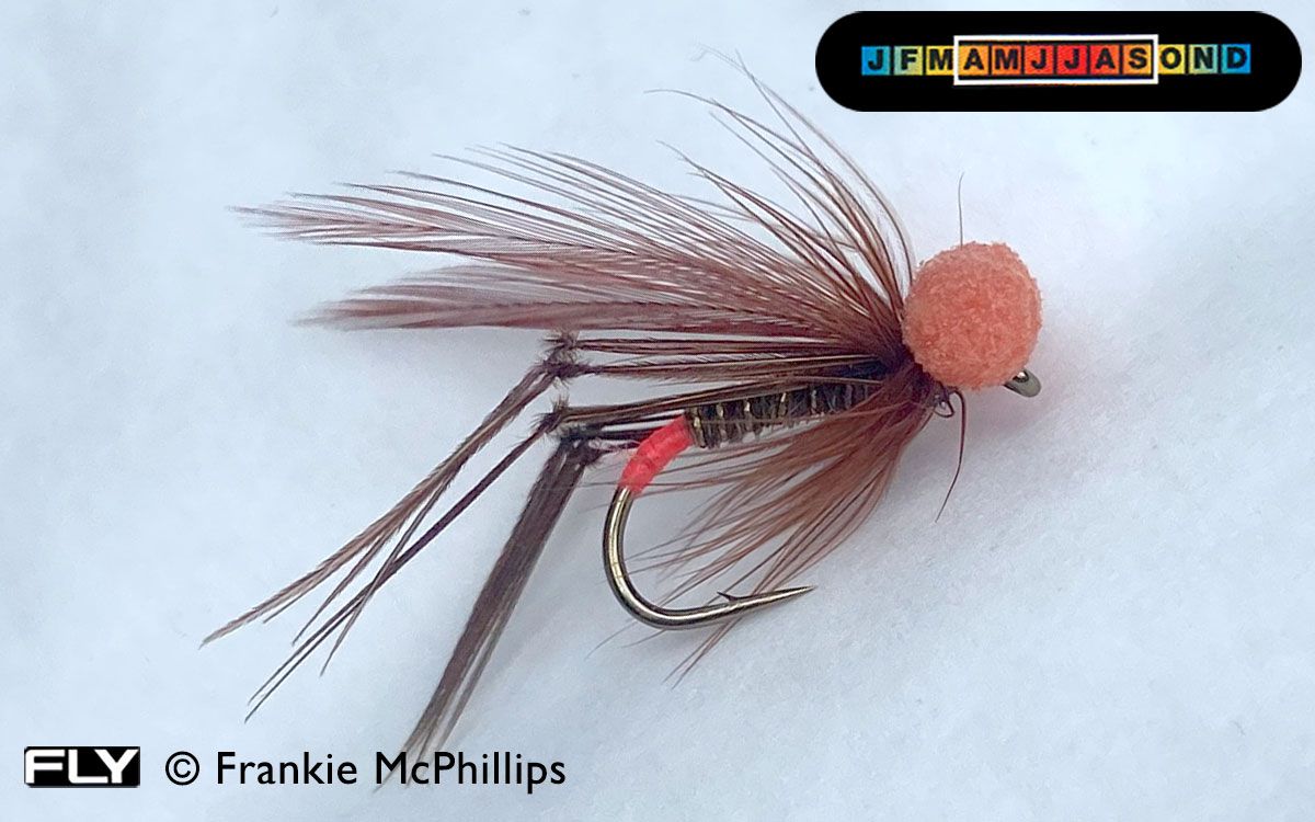 Melvin Daddy Booby (Orange)