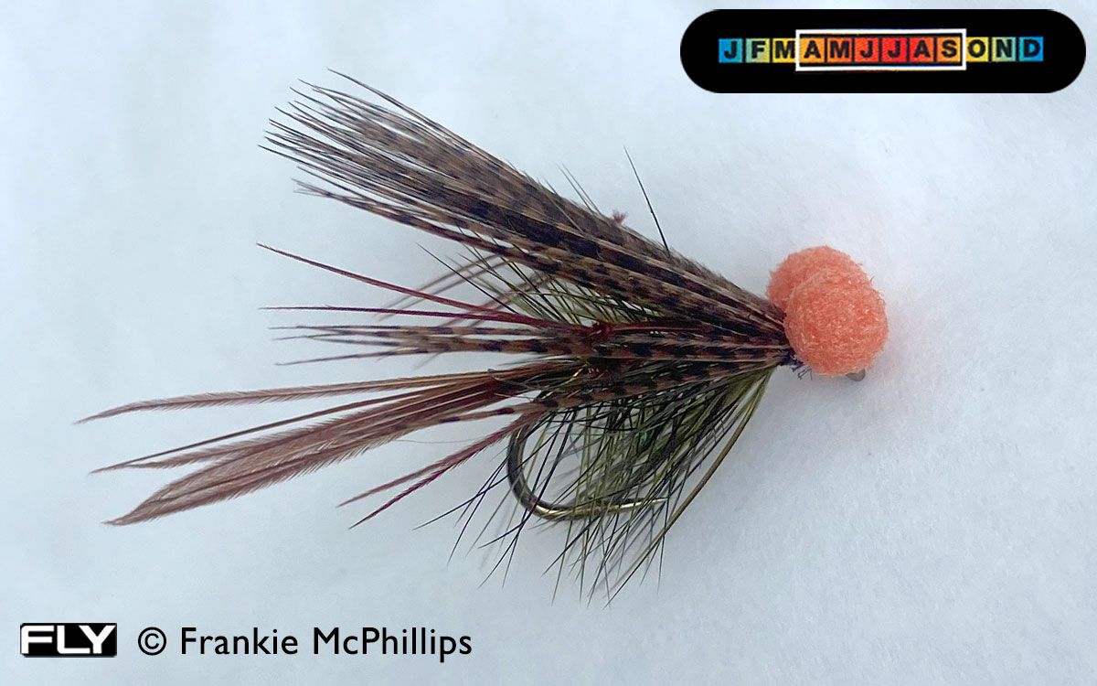 Sooty Hopper Booby (Orange)